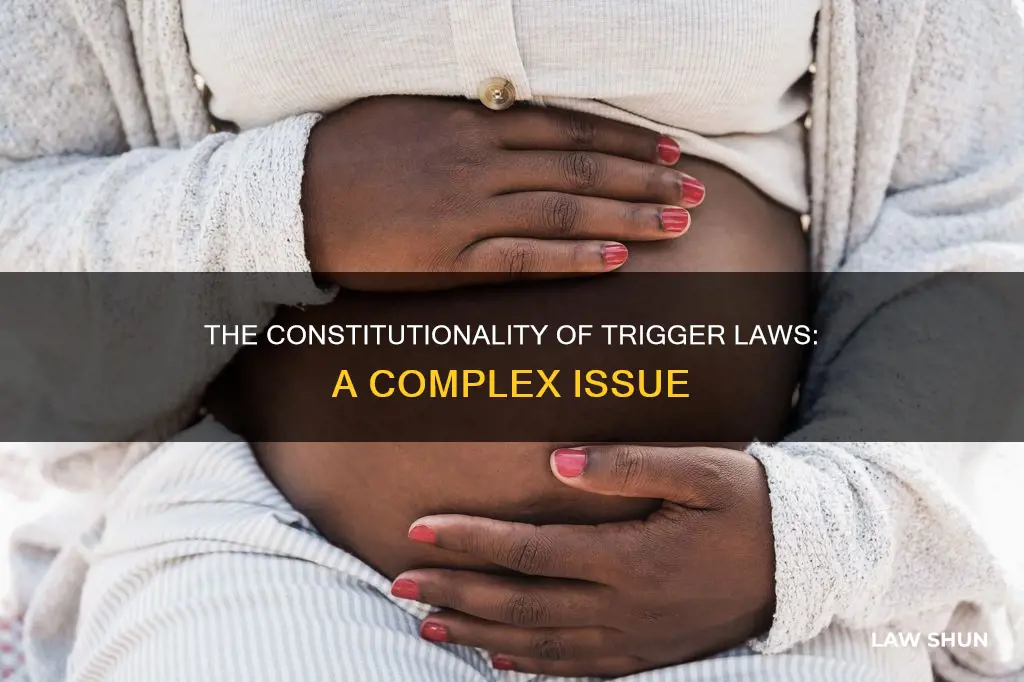are trigger laws constitutional