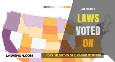 Are Trigger Laws Voted On? Understanding State Abortion Bans Post-Roe