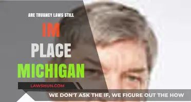 Are Michigan's Truancy Laws Still Enforced? A Current Overview