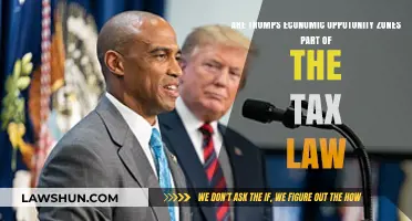 Trump's Opportunity Zones: Tax Law Innovation?