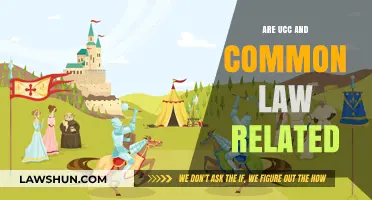 Understanding UCC and Common Law: What's the Relationship?