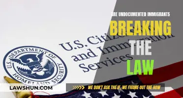 Undocumented Immigrants: Lawbreakers or Misunderstood?