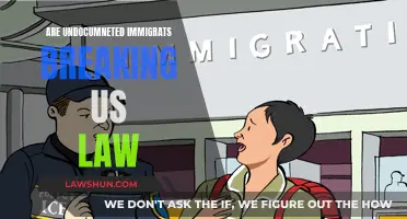 Undocumented Immigrants: Breaking US Laws?