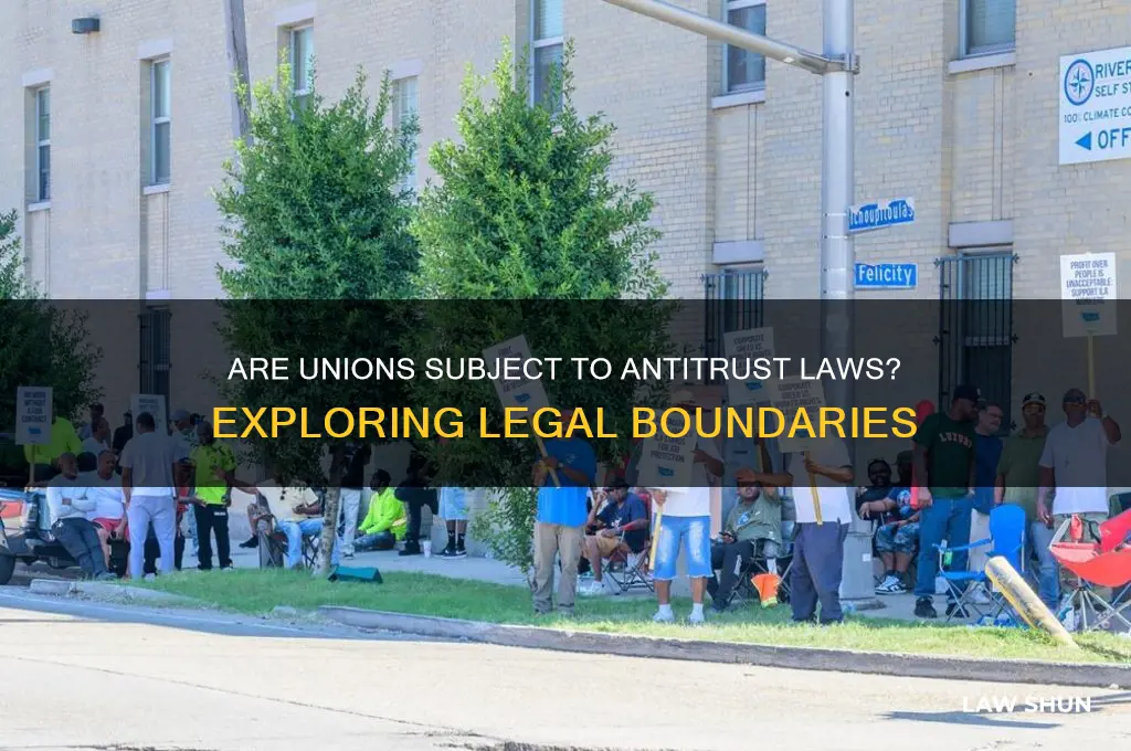 are union ssubjct to antitrust laws