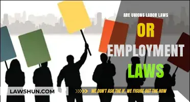 Unions: Labor Laws vs. Employment Laws – Understanding the Legal Framework