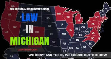 Background Checks in Michigan: What's the Law?