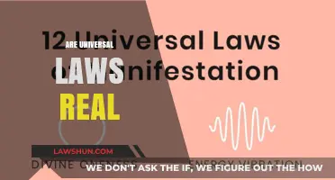 The Reality of Universal Laws: Fact or Fiction?