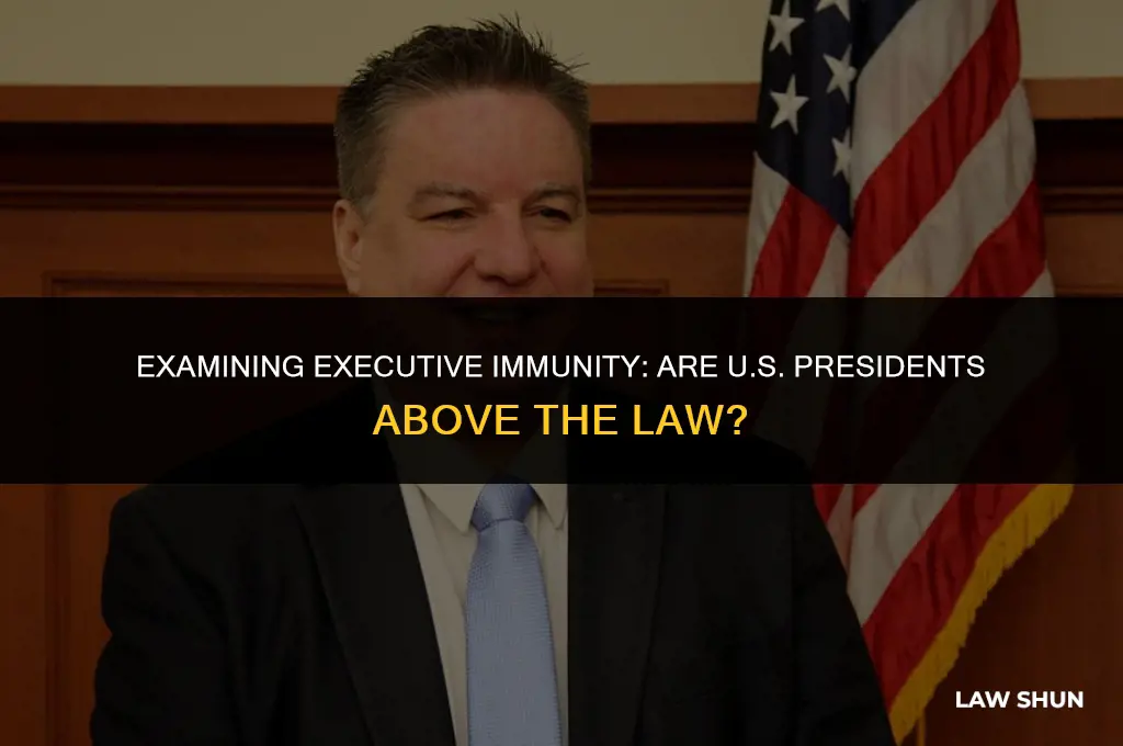 are us presidents above the law