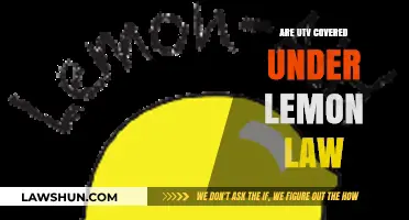 UTV Lemon Law Protection: Are Your Off-Road Vehicles Covered?