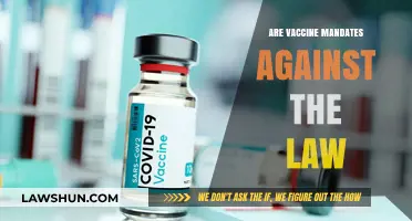 Are Vaccine Mandates Legal? Exploring Constitutional and Ethical Boundaries