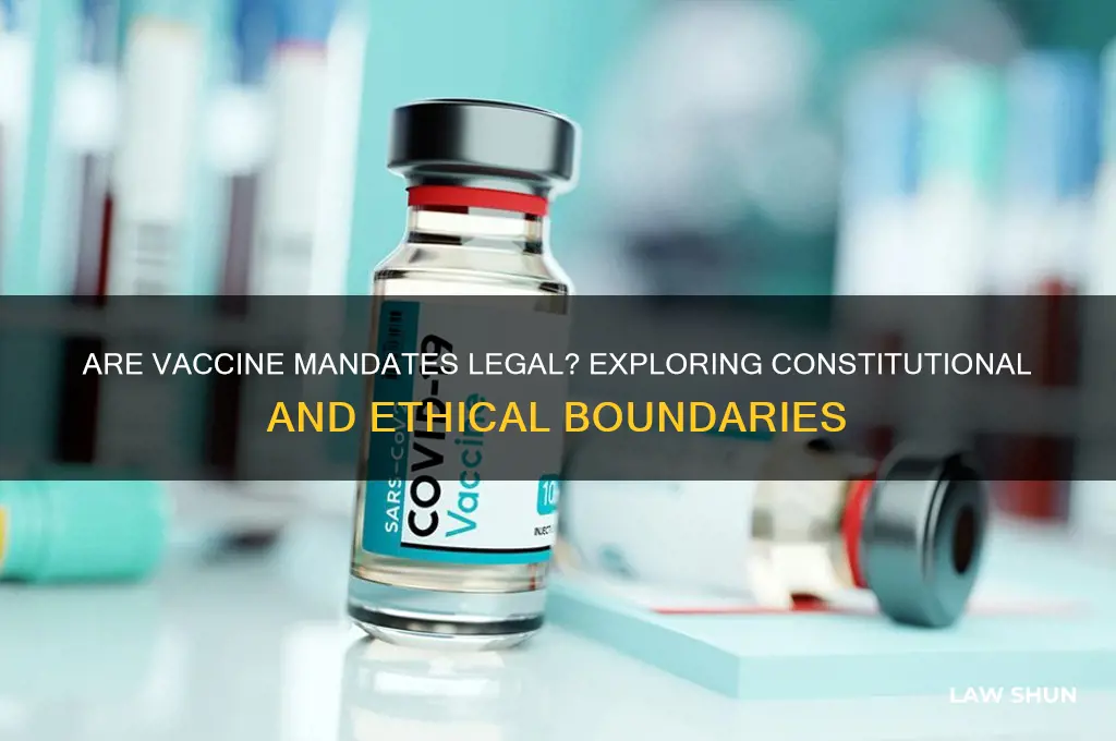 are vaccine mandates against the law