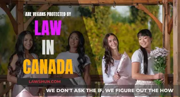 Vegans' Legal Rights in Canada: What Protections Exist?