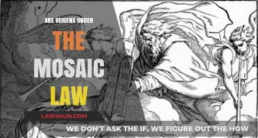 Understanding Veigens: Their Role and Place Under Mosaic Law