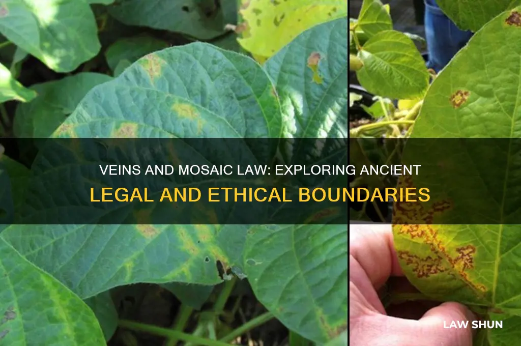 are veins under the mosaic law