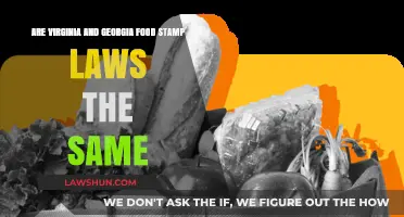Virginia vs. Georgia: Comparing Food Stamp Laws and Eligibility Rules