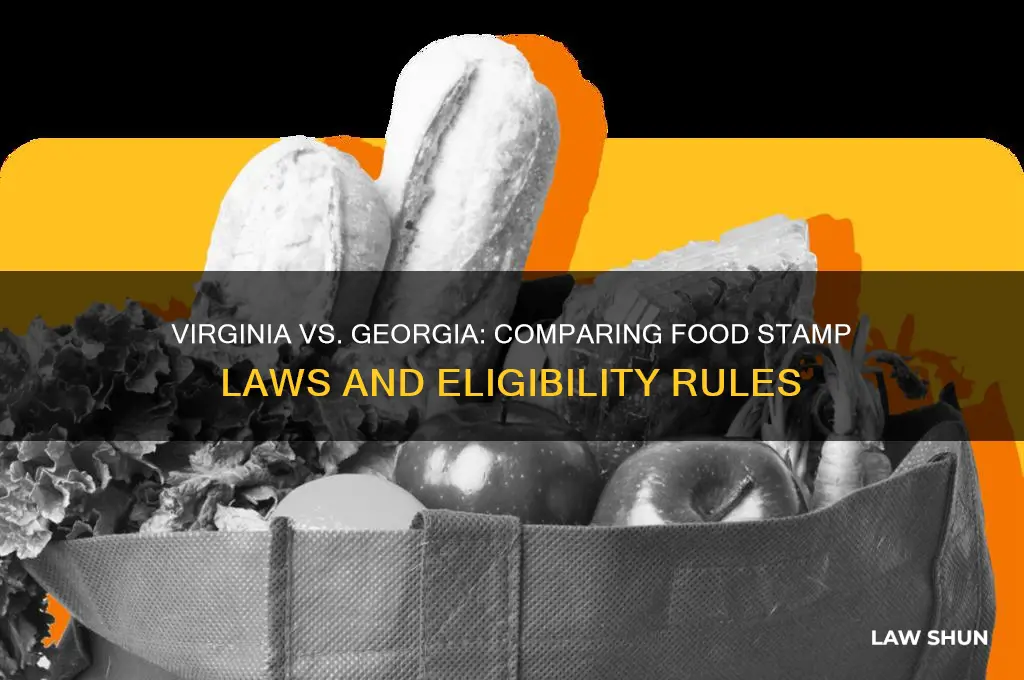 are virginia and georgia food stamp laws the same