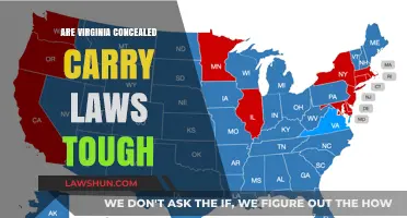 Are Virginia's Concealed Carry Laws Tough Enough? A Detailed Analysis