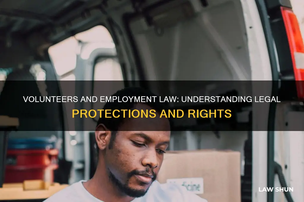 are volunteers covered by employment law
