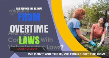 Volunteers and Overtime Laws: Understanding Exemptions and Legal Boundaries