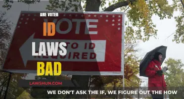 Are Voter ID Laws Suppressing Votes or Securing Elections?