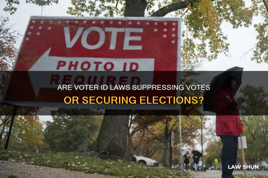 are voter id laws bad