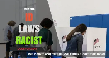 Are Voter ID Laws Racist? Examining Intent, Impact, and Inequality