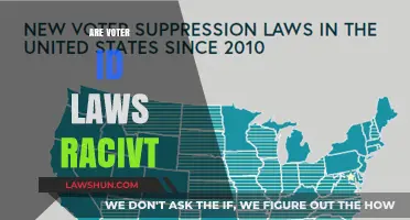 Are Voter ID Laws Racist? Examining Impact and Intent