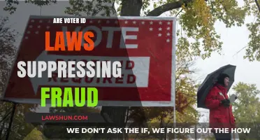 Voter ID Laws: Fraud Prevention or Suppression Tactic?