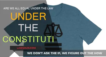 Equality Under the Law: Myth or Reality?
