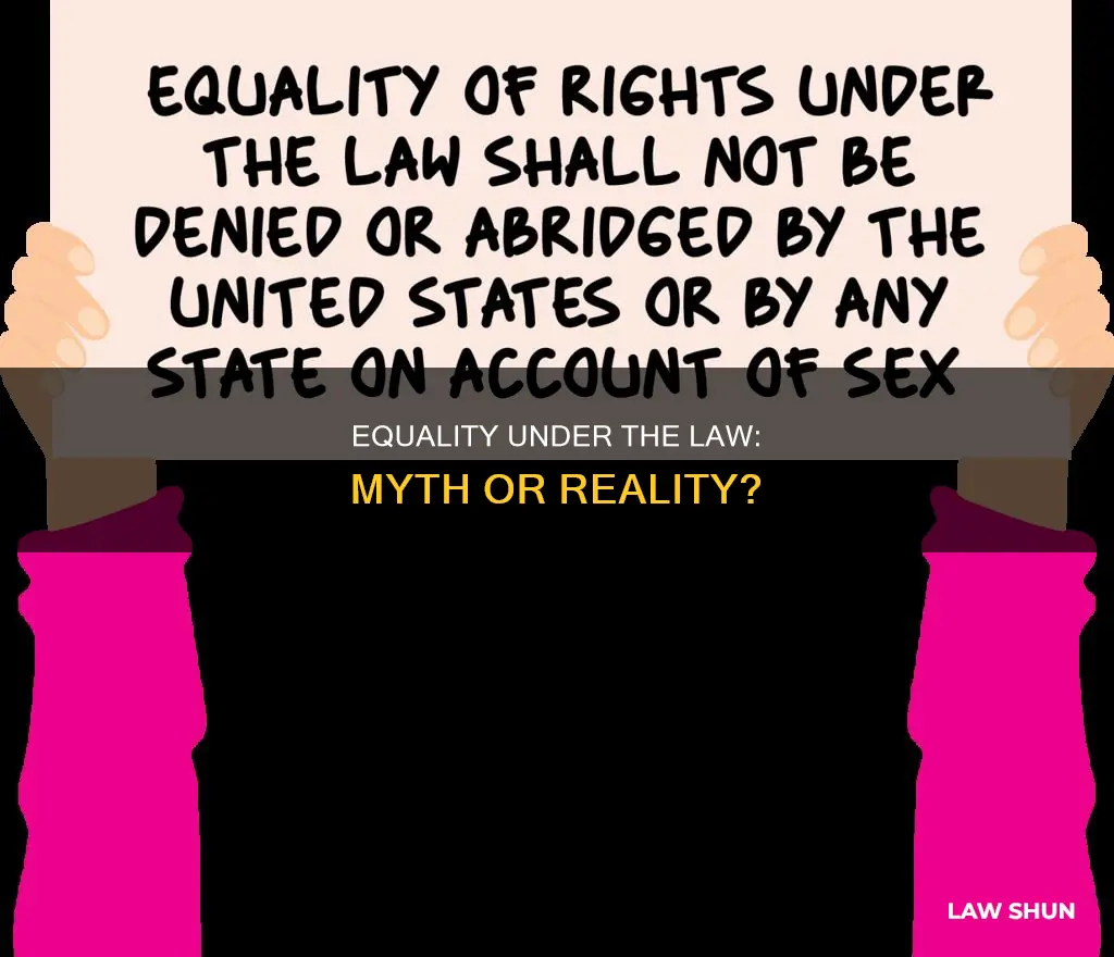 are we all equal under the law under the constitution