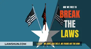 Breaking Laws: Our Freedom and Its Limits