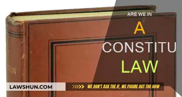 The Constitution: Under Threat?