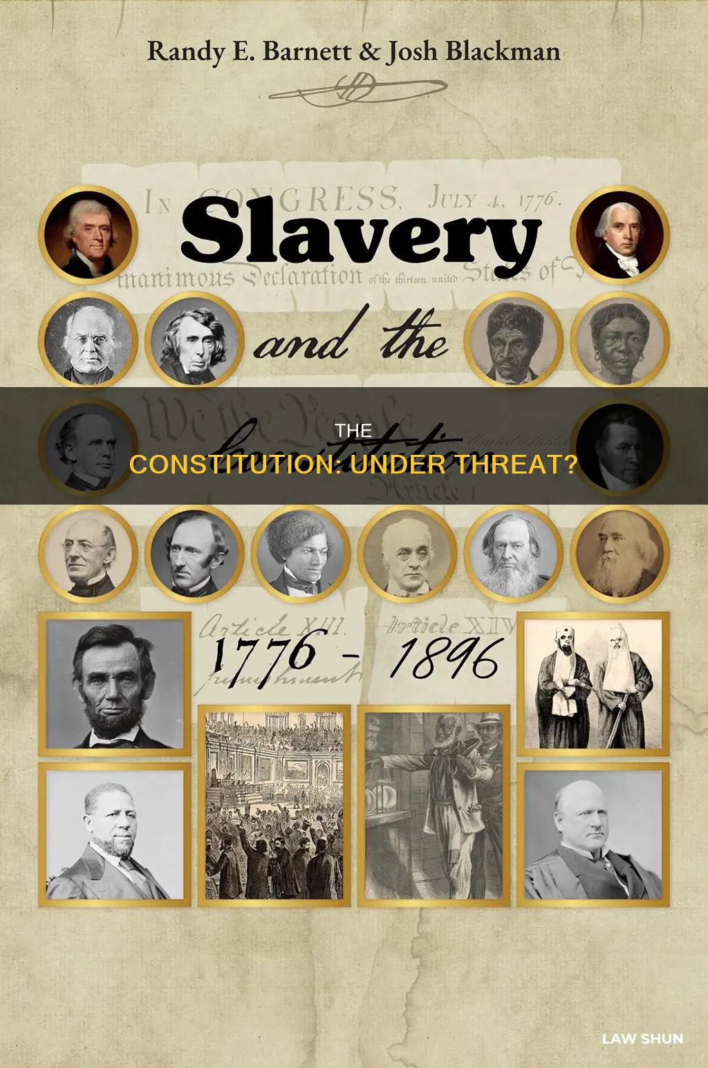 are we in a constitutional law