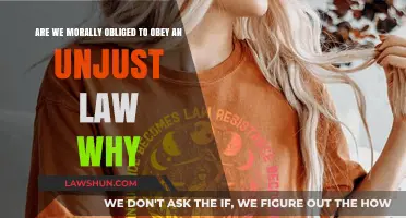 Moral Dilemma: Must We Obey Unjust Laws or Resist?