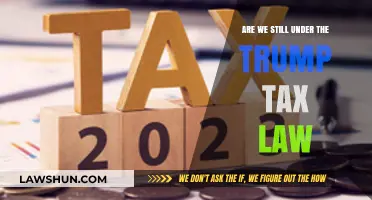 Trump's Tax Legacy: What's Next?