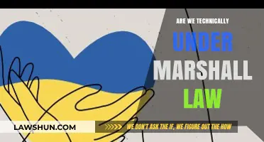 Are We Technically Under Martial Law? Exploring the Legal Realities