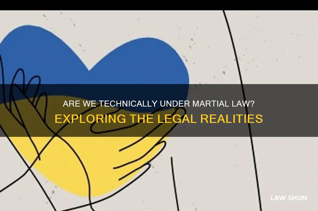 are we technically under marshall law