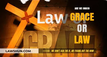 Grace vs. Law: Understanding Our Standing in Christ's Covenant