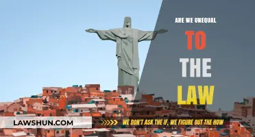 Are We Truly Equal Under the Law? Exploring Legal Inequality