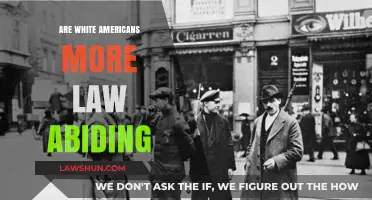 Are White Americans More Law-Abiding? Exploring Racial Stereotypes and Reality