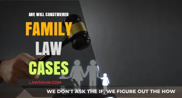 Understanding Family Law: What Cases Are Included?