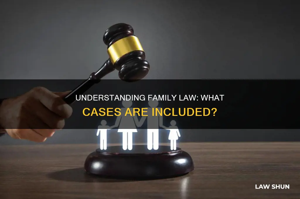 are will constidered family law cases