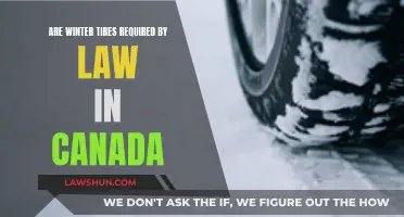 Winter Tires: Are They Legally Mandatory in Canada?