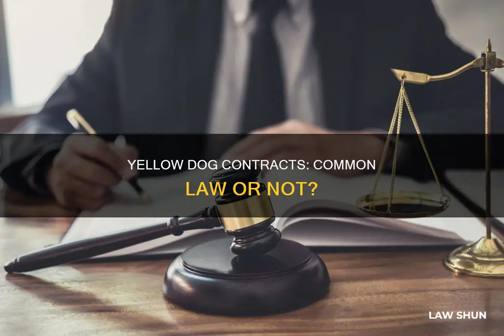 are yellow dog contracts common law