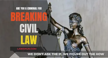 Civil Lawbreakers: Criminal or Not?