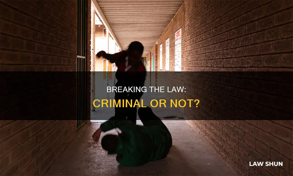 are you a criminal if you break the law