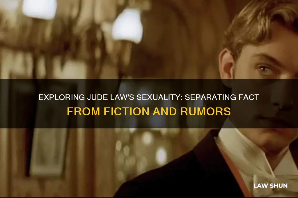 are you a homosexual jude law