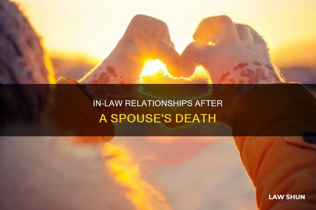 are you brother in law if spouse dies