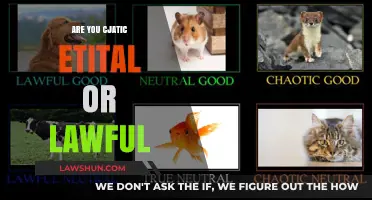 Chaotic Neutral or Lawful: Understanding Your Alignment in Life