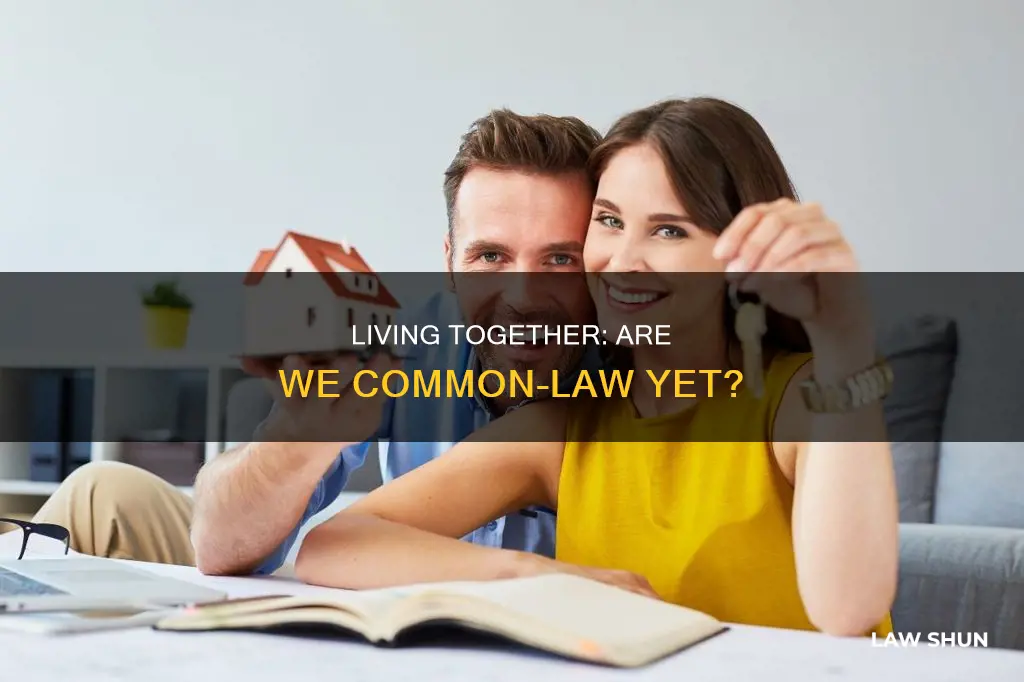 are you common law after 6 months